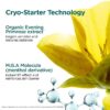Cryo-Flash-Maske – porenverfeinernde + straffende Gel-Creme-Gesichtsmaske