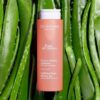 Eau des Jardins Trio – Duschgel, Körperlotion & Parfüm-Set für Körperpflege