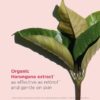 Super Restorative Handcreme – Pflegt + wirkt gezielt gegen Altersflecken und Falten