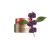 V-Facial Intensive Wrap – entschwellende Gesichtsmaske