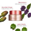 V-Facial Intensive Wrap – entschwellende Gesichtsmaske